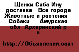 Щенки Сиба Ину доставка - Все города Животные и растения » Собаки   . Амурская обл.,Архаринский р-н